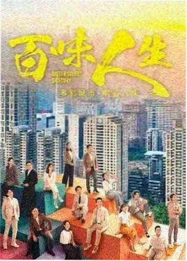 周末露营日记综艺封面